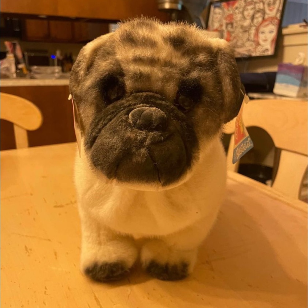 Dakins Huggable Pug Toy